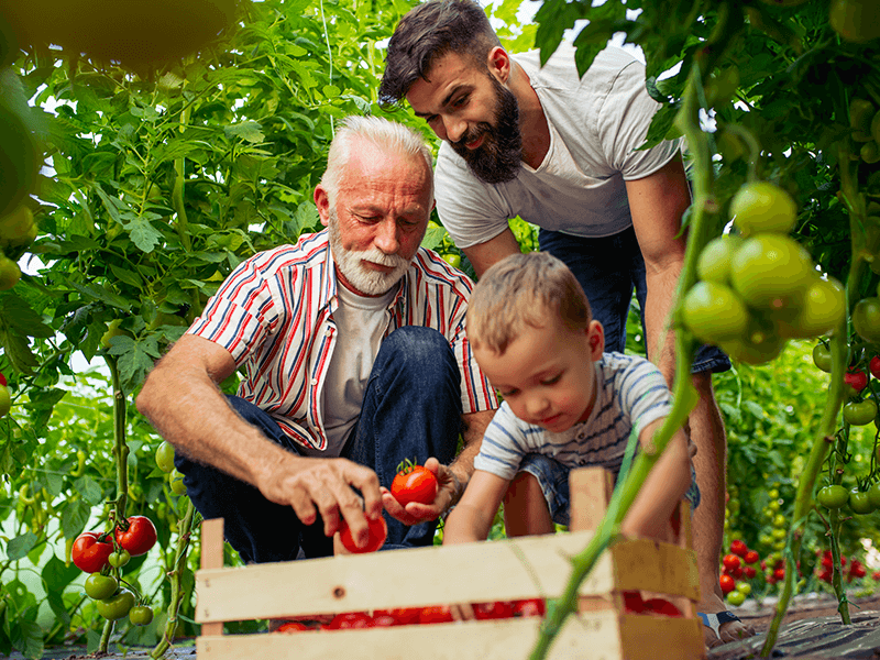 Familia recolectando fruta